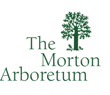 Morton Arboretum logo